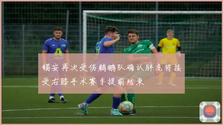 锡安再次受伤鹈鹕队确认胖虎将接受右膝手术赛季提前结束