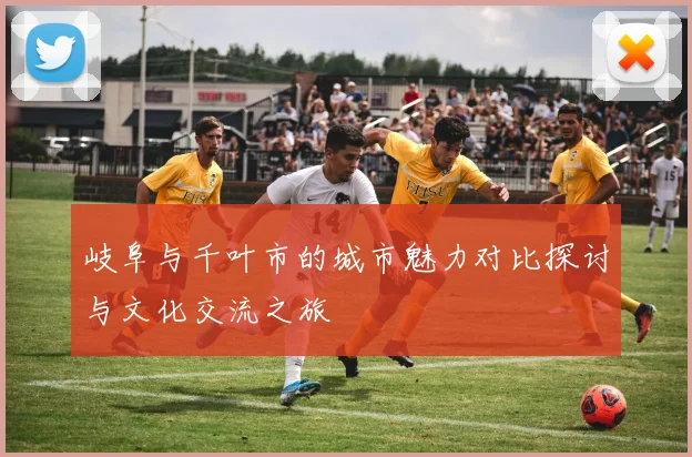 岐阜与千叶市的城市魅力对比探讨与文化交流之旅