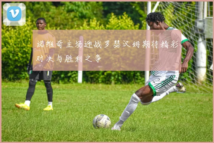 诺维奇主场迎战罗瑟汉姆期待精彩对决与胜利之争